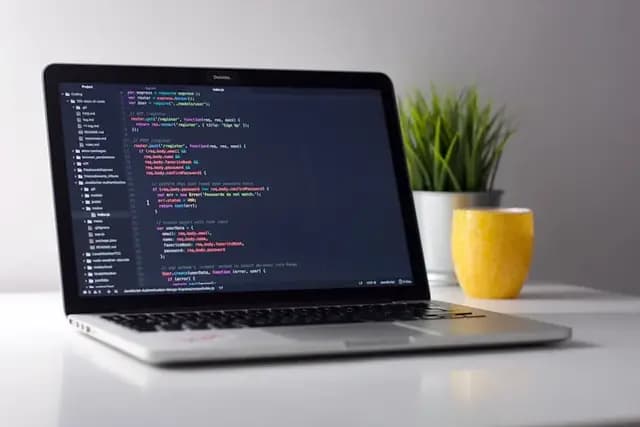 Why You Should Hire a Professional Web Developer